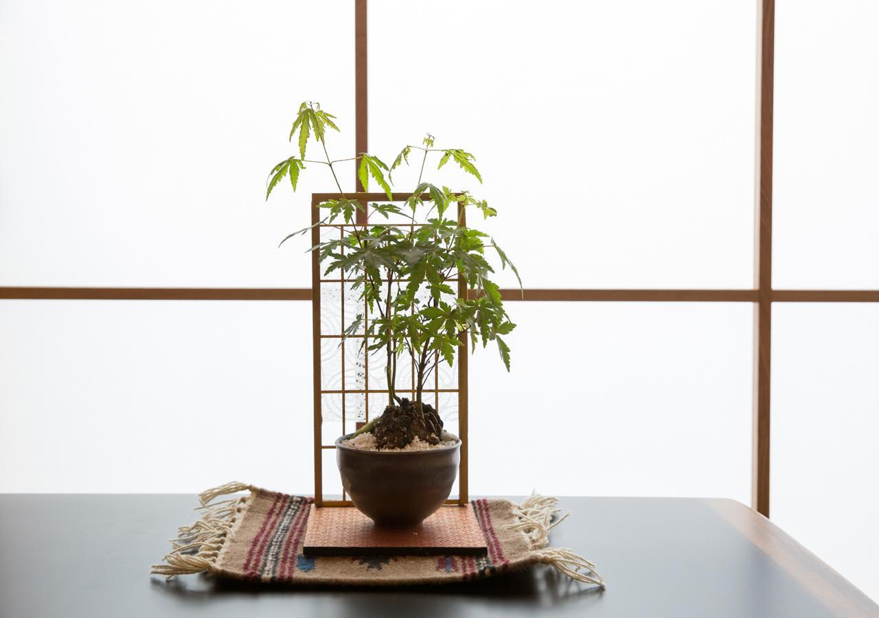 Hotel Shioriya Nagano Zewnętrze zdjęcie