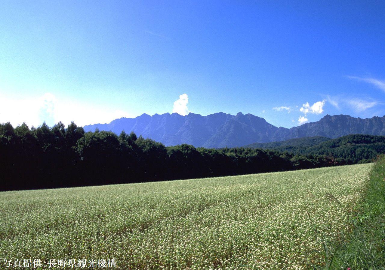 Hotel Shioriya Nagano Zewnętrze zdjęcie