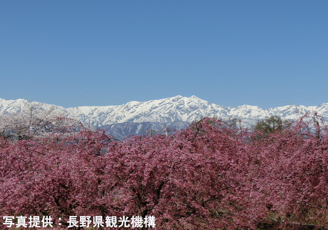 Hotel Shioriya Nagano Zewnętrze zdjęcie